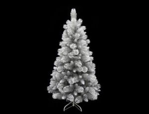 7Ft (210cm) Vancouver Pine