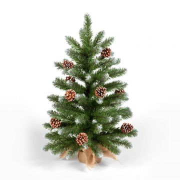 2ft (60cm) Mini Frosted Norway Tree with Tips and Pine Cones