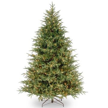 7ft (210cm) Frasier Grande Tree - 600 Warm White LED