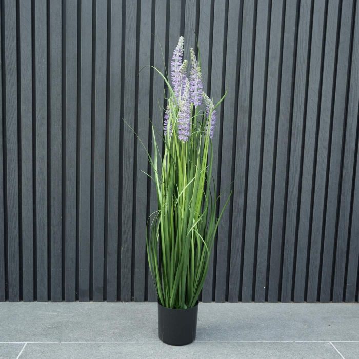 3ft (91cm) Outdoor Living Onion Grass Purple main product photo
