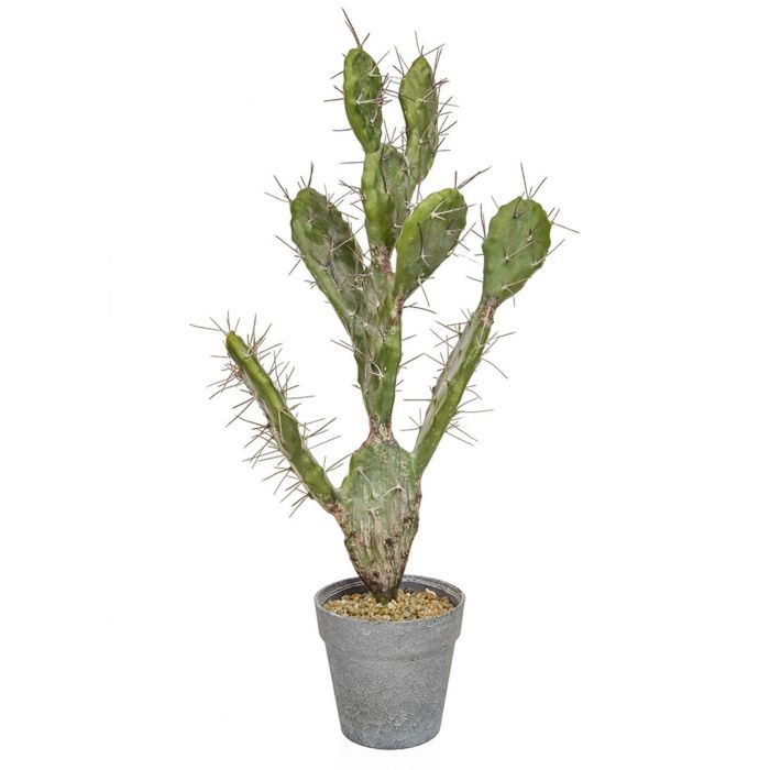 60cm Cactus in Pot main product photo