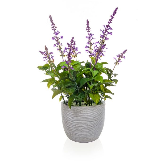 50cm Purple Lavender in Grey Pot main product photo