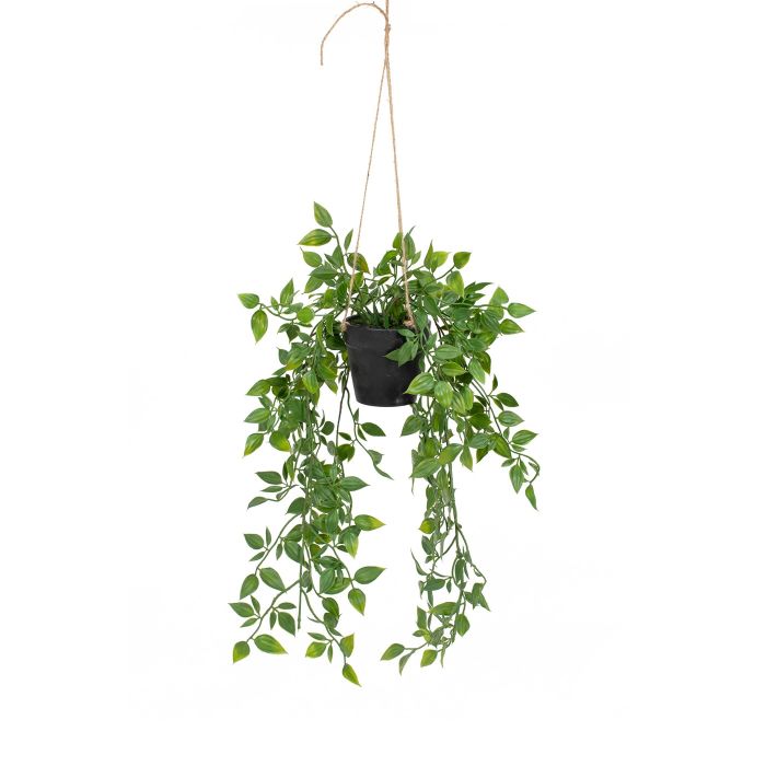 47cm Trailing Plant in Pot main product photo