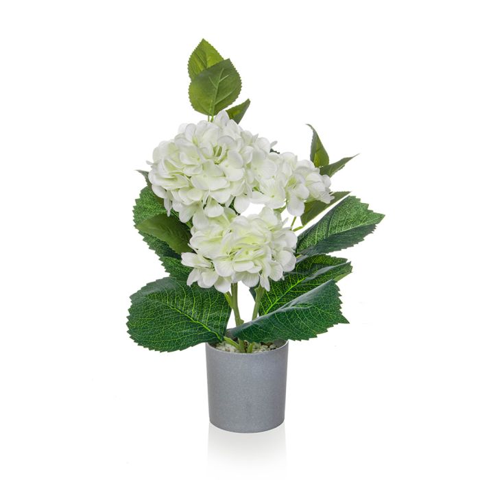 45cm Hydrangea White in Grey Pot main product photo