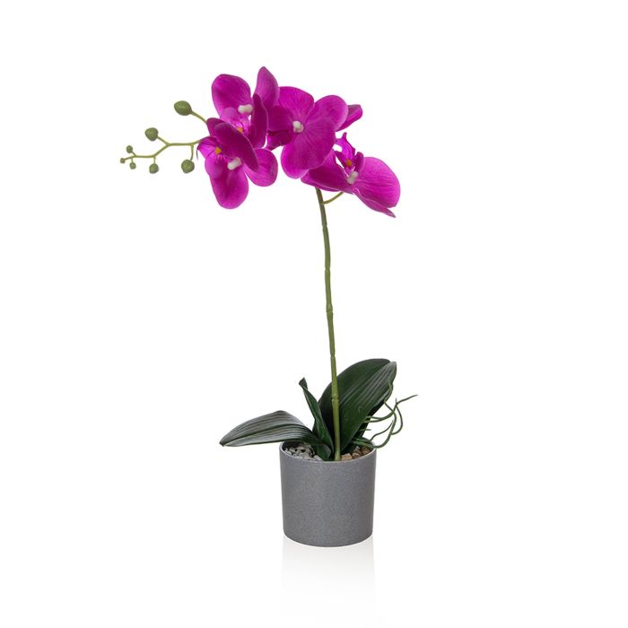 49cm Single Orchid Pink Single in Grey Pot main product photo