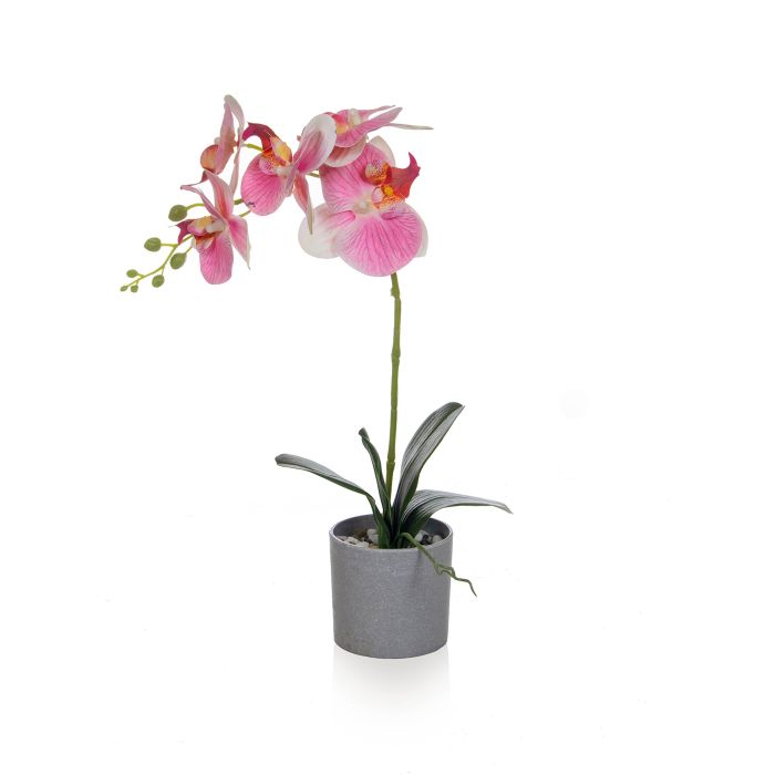 49cm Orchid Pink Single in Grey Pot main product photo