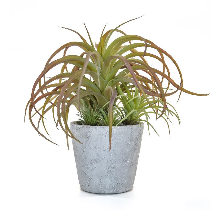 30cm Succulent Airplant Pot main product photo