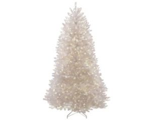 Dunhill White Fir 7Ft (210cm) Tree