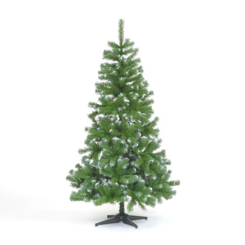 7ft (210cm) Colorado Frosted Green Slim Spruce Wrapped with 765 Tips