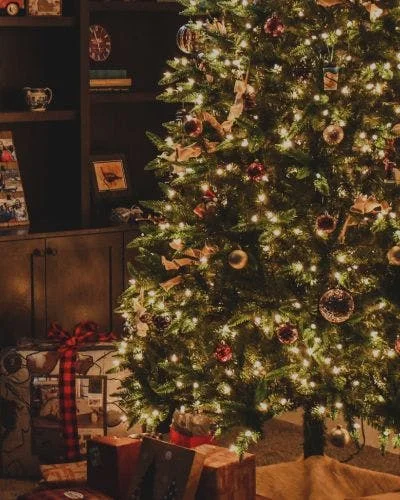Indoor and Outdoor Christmas Lights