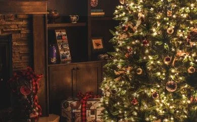 Indoor and Outdoor Christmas Lights