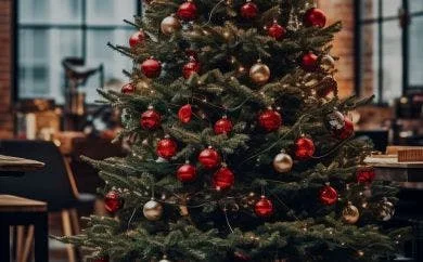 Commercial Christmas Decorations