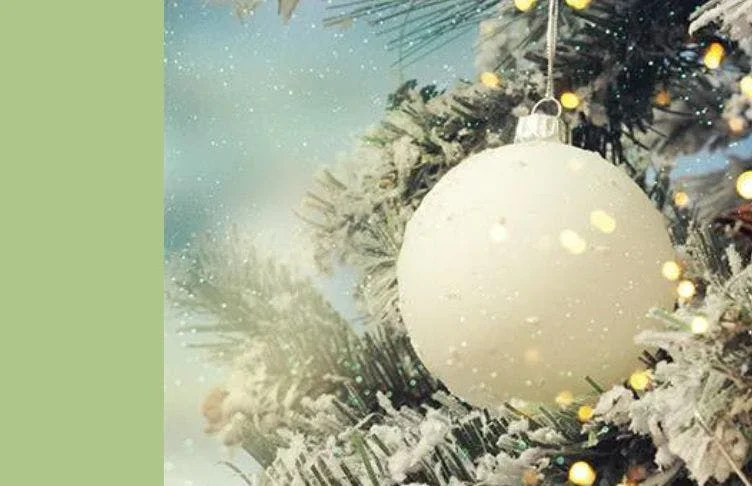 Festive Guide to Choosing Your Christmas Trees